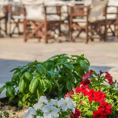 Aparthotel Takis Sidari (Corfu)